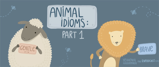 Animal Idioms. Part 1