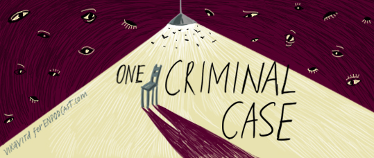 One Criminal Case